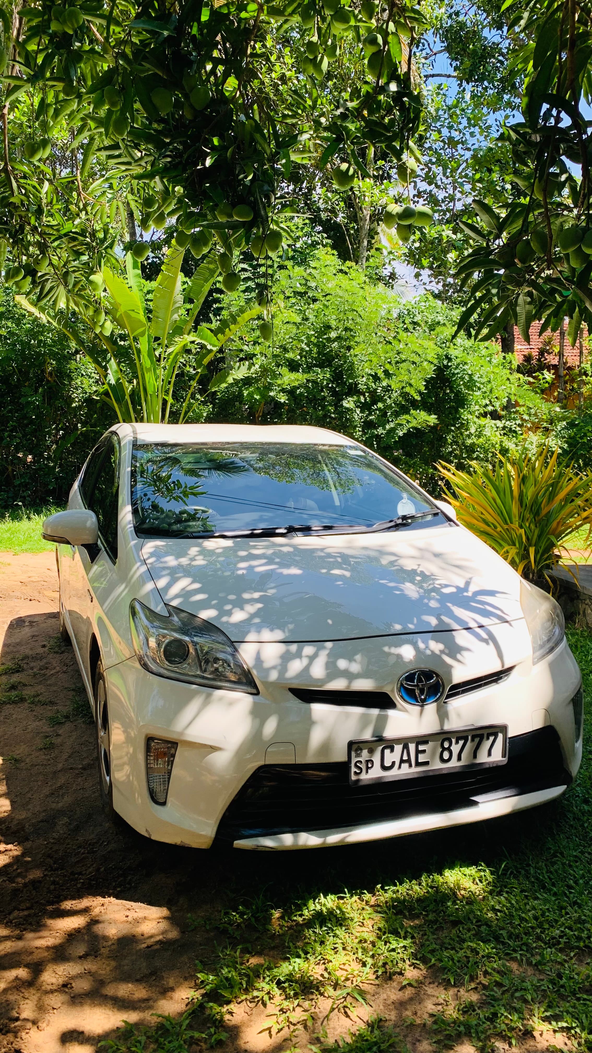 Sedan — Toyota Prius